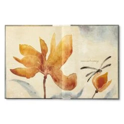 Gift Book: She’s Everything -Toy Cheap Store 10791 3