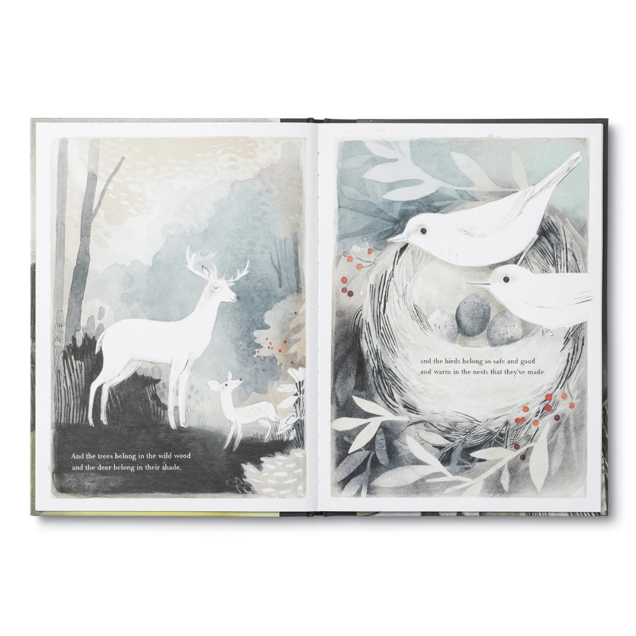 Illustrated Children’s Book: You Belong Here 5 Illustrated Children’s Book: You Belong Here - Image 3