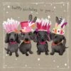 Fancy Pants Greeting Card With Gems – Gorgeous Dogs, Happy Birthday 1 Fancy Pants Greeting Card With Gems – Gorgeous Dogs, Happy Birthday -Toy Cheap Store FAN116